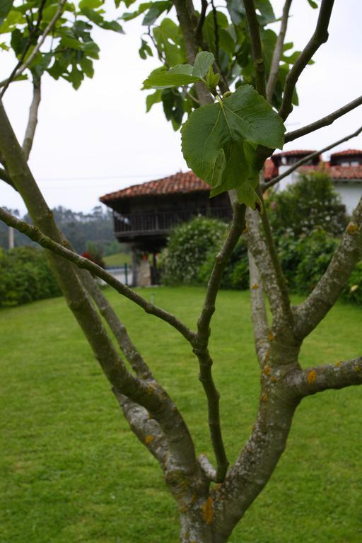 Apartment Picos Bricia